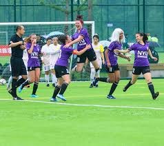 F1历史数据对比