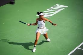 洛杉矶道奇在 2024 年底宣布其主场将在 2025 年常规赛推出“大谷专属视角转播”